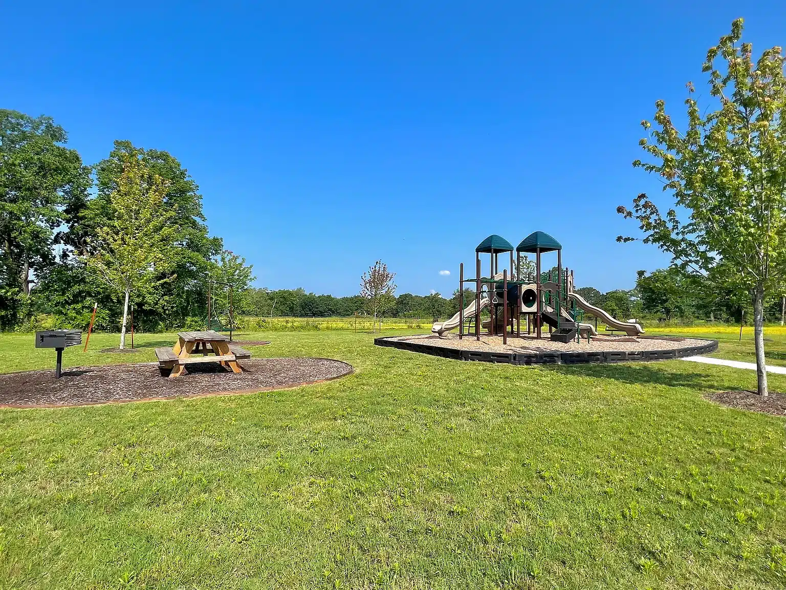 12020 Saddle Hill Ln1